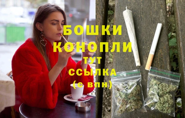 СК Волосово