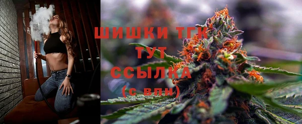 СК Волосово