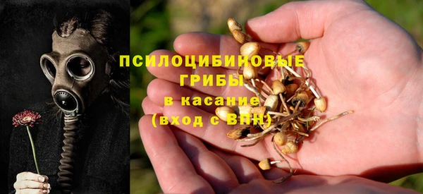 СК Волосово