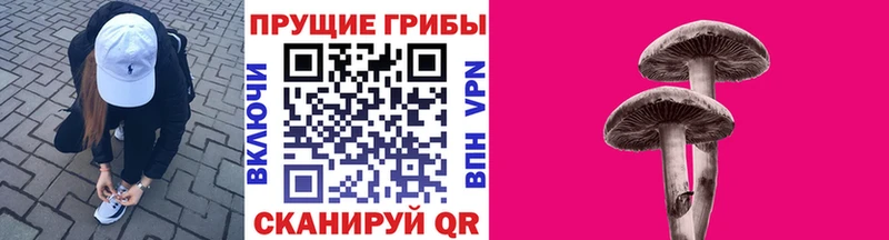 наркошоп  Калуга  Галлюциногенные грибы Psilocybe 